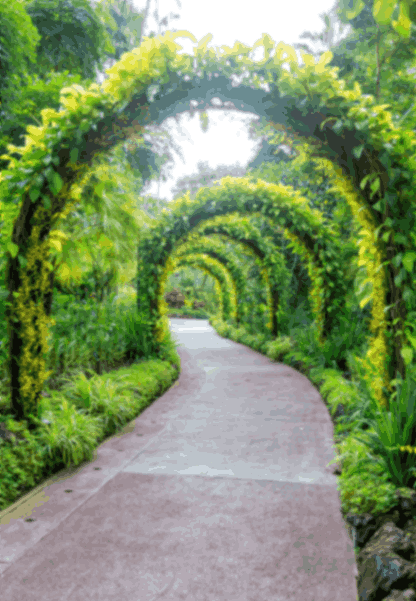 Singapore Botanic Gardens
